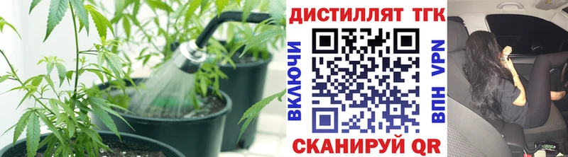 маркетплейс Telegram  Чадан  Дистиллят ТГК жижа 