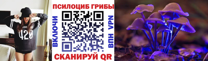 Галлюциногенные грибы GOLDEN TEACHER  что такое   darknet как зайти  Чадан 